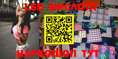 крисы Моздок