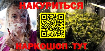 крисы Моздок