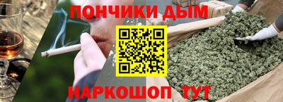 крисы Моздок