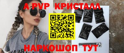 крисы Моздок