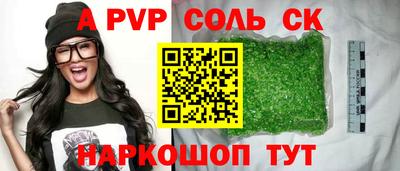 крисы Моздок
