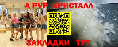 крисы Моздок