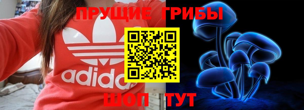 Чебаркуль  Галлюциногенные грибы MAGIC MUSHROOMS  Вход с VPN 